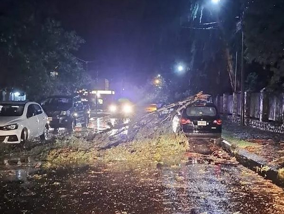 Lee más sobre el artículo Merlo: lluvia y viento intenso provocaron caída de árboles y postes de electricidad