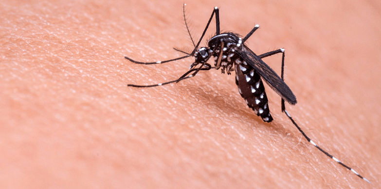 En este momento estás viendo Los mosquitos portadores de la malaria se expanden por el cambio climático