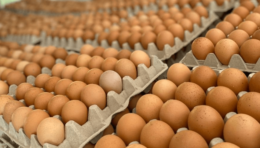 Lee más sobre el artículo Más aumentos: el maple de huevo tuvo un incremento del 15% en una semana